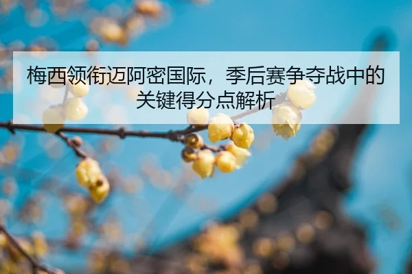 梅西领衔迈阿密国际，季后赛争夺战中的关键得分点解析