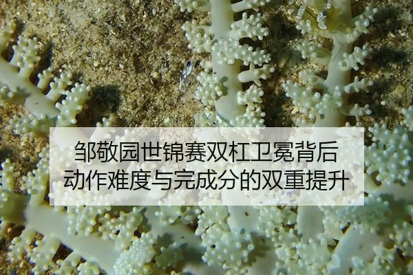 zou-jing-yuan-shi-jin-sai-shuang-gang-wei-mian-bei-hou-dong-zuo-nan-du-yu-wan-cheng-fen-de-shuang-chong-ti-sheng-2-177.jpg