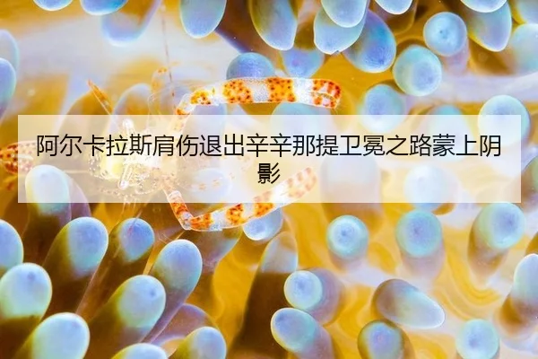 阿尔卡拉斯肩伤退出辛辛那提卫冕之路蒙上阴影